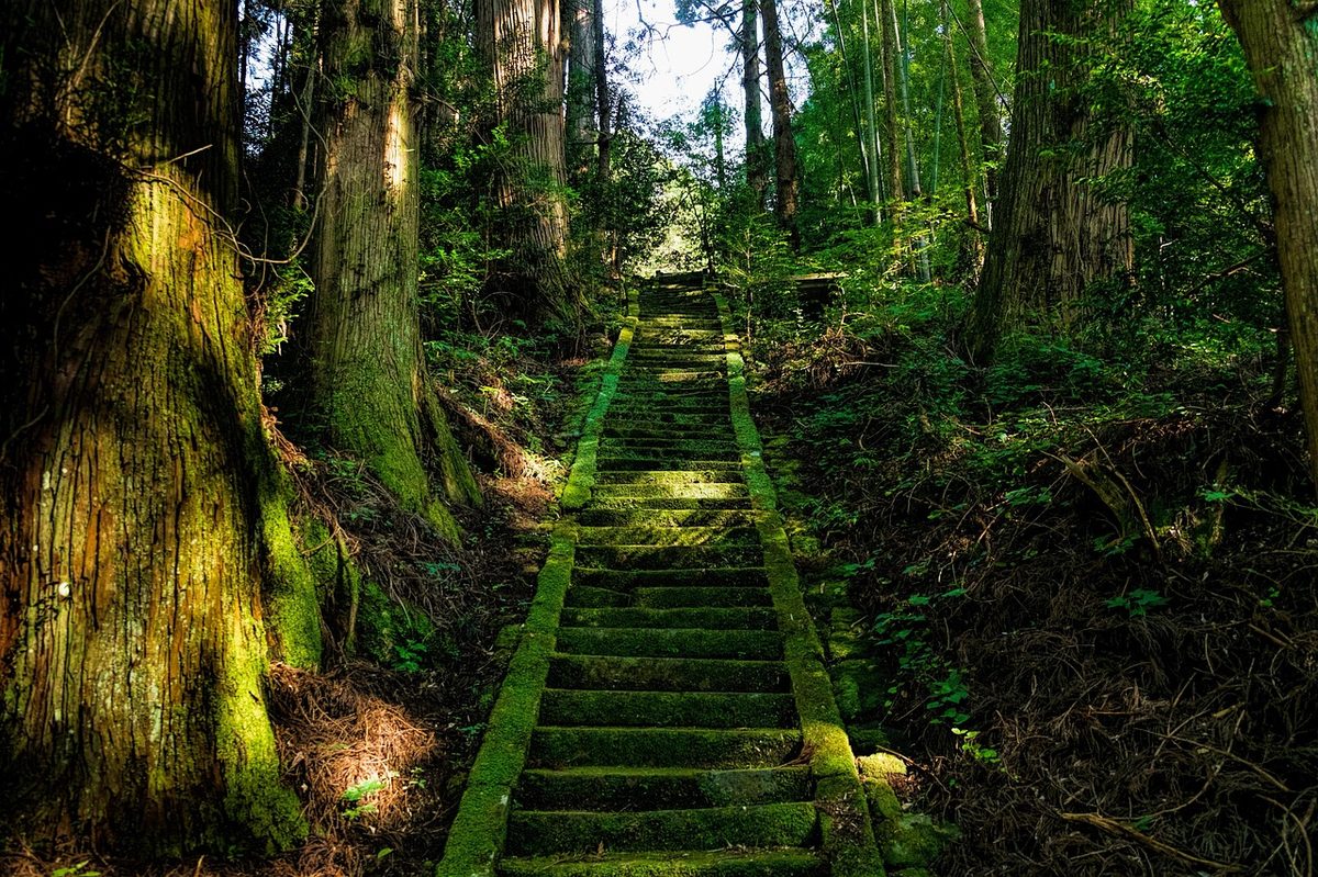 Mossy stone stairs leading up to a shrine building in Aso