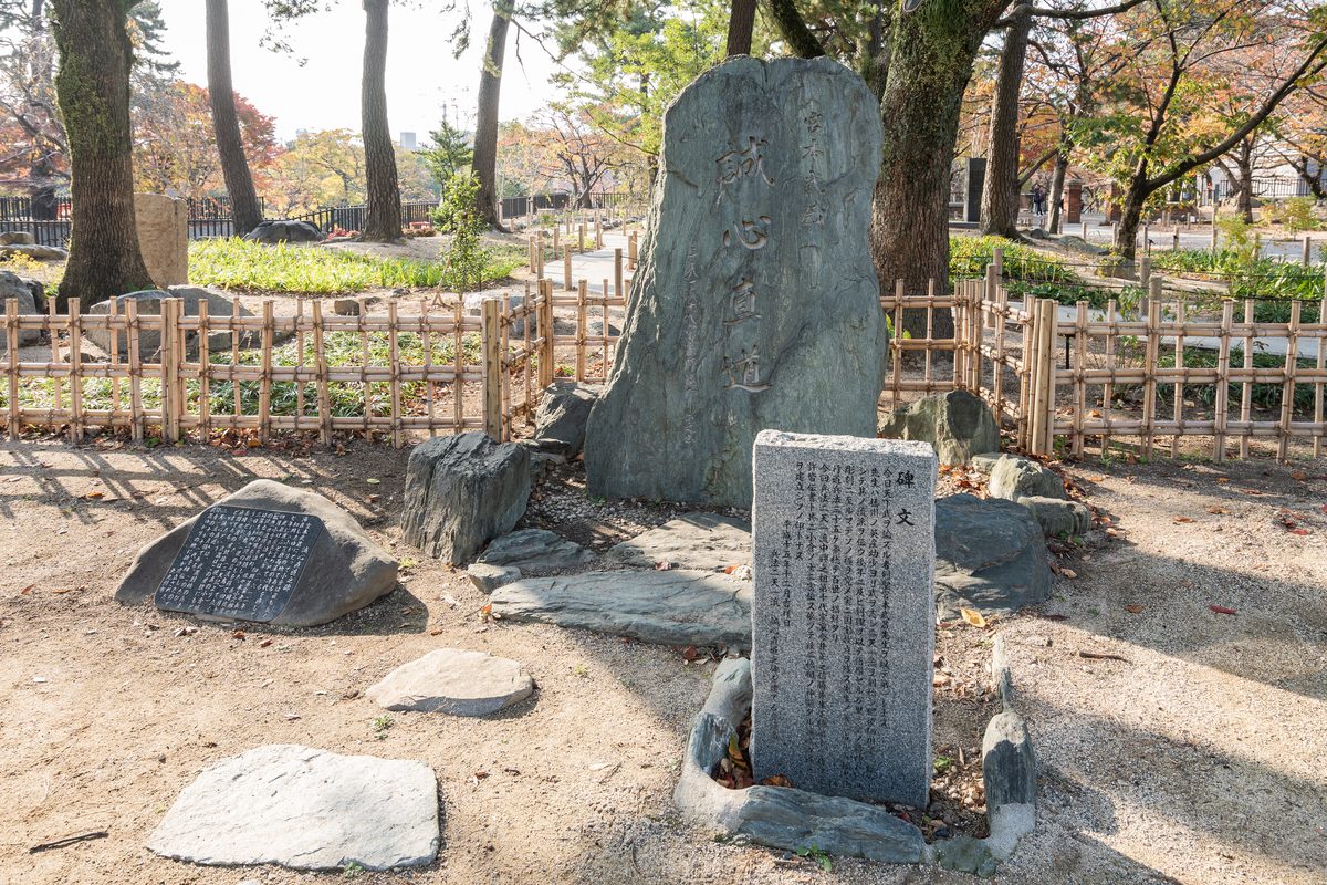 Kokura Castle framed by autumn foliage in November