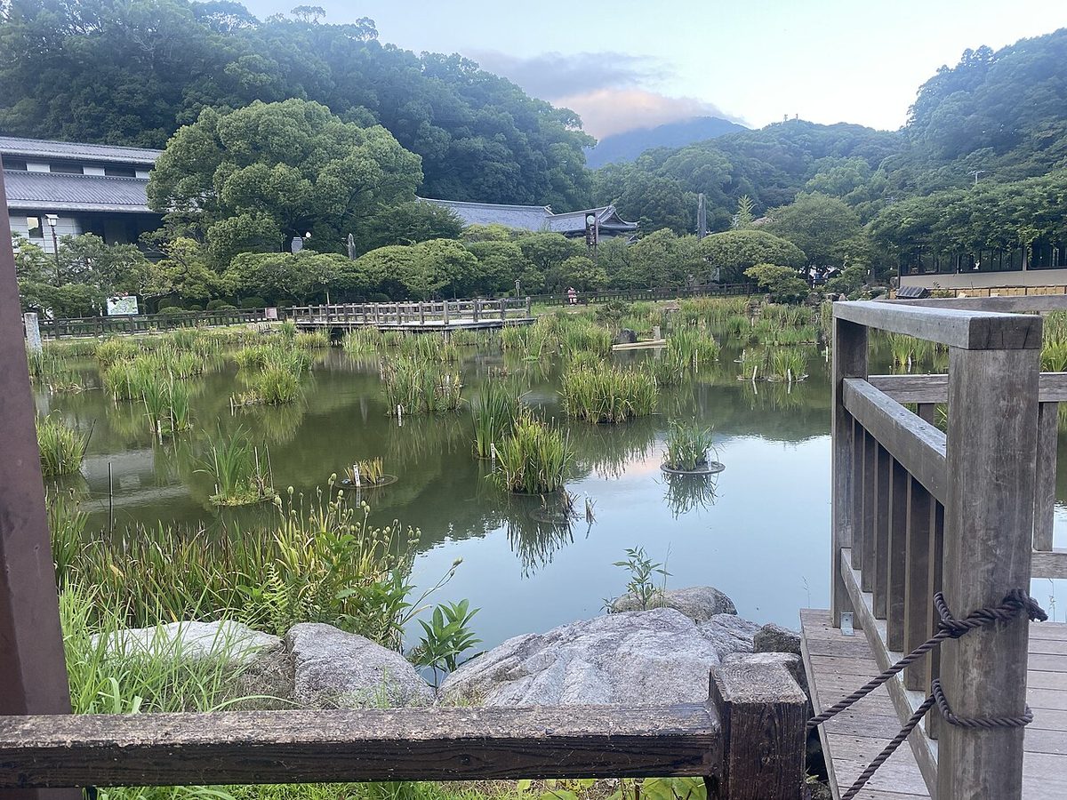 The large pond at Dazaifu Tenmangu with reflections of surrounding trees