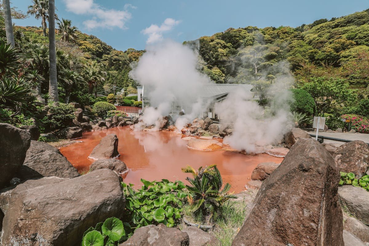 Steam rising from a hot spring surrounded by greenery